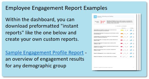 employee engagement report examples